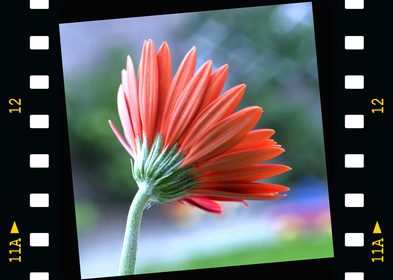 NOTRE ÉQUIPE EST EN DEUIL