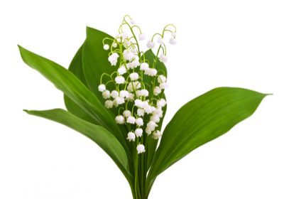 CONFINEMENT : LETTRE D&rsquo;INFORMATION AUX ADHÉRENTS